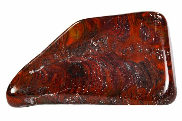 Polished Stromatolite (Collenia) - Minnesota #108573